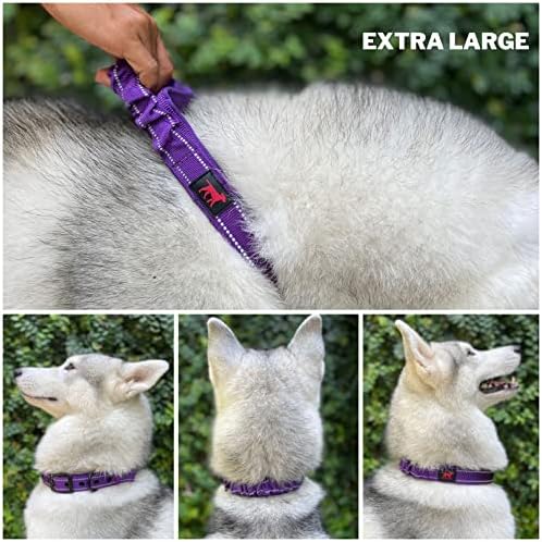 Tuff Pupper Heavy Duty Dog Collar with Handle | Ballistic Nylon Heavy Duty Collar | Padded Reflective Dog Collar with Adjustable Stainless Steel Hardware | Convenient Sizing for All Breeds