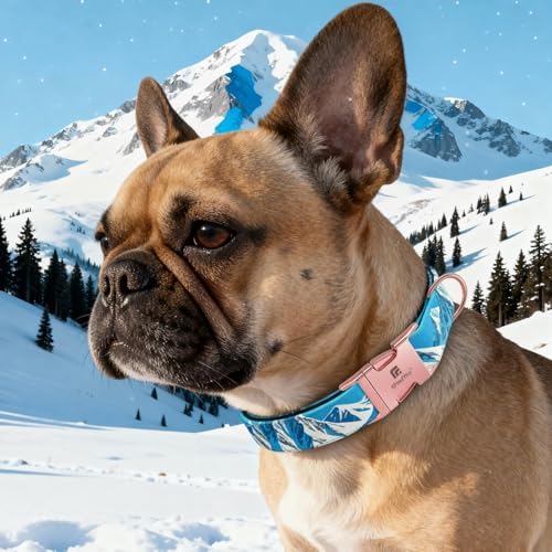 Reflective Dog Collar for Large Dogs, Artistic Design Rocky-L