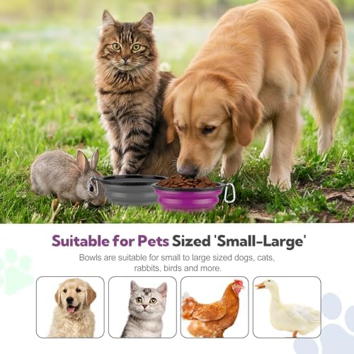 Collapsible Dog Bowl Large 34oz, Travel Dog Water Bowl Portable
