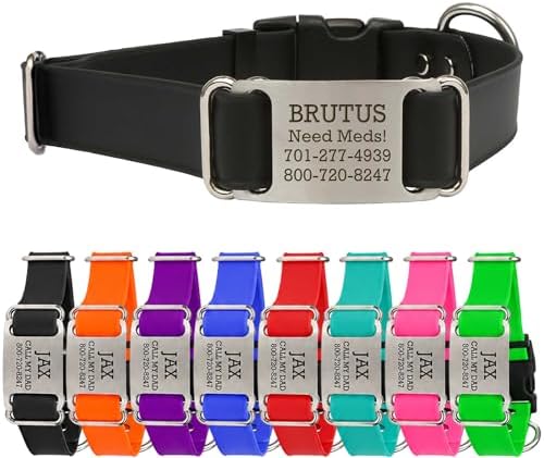 dogIDs Personalized Quick Release Waterprooft ScruffTag Dog Collar - Built-in Custom Laser Engraved Nameplate, Odor Resistant - Black, 3/4 in x 14-18 in (Fits Neck Sizes: 14-18 in)