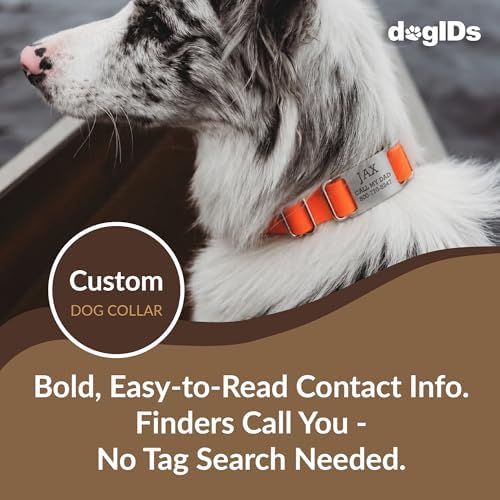 dogIDs Personalized Quick Release Waterprooft ScruffTag Dog Collar - Built-in Custom Laser Engraved Nameplate, Odor Resistant - Orange, 3/4 in x 14-18 in (Fits Neck Sizes: 14-18 in)