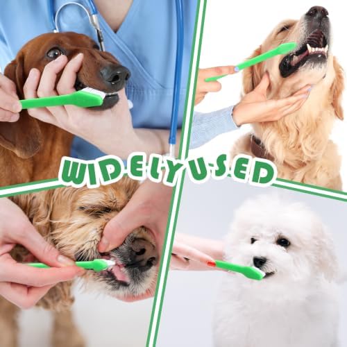 Gerrii 200 Count Dog Toothbrush Double Headed Long Handle Soft, Green