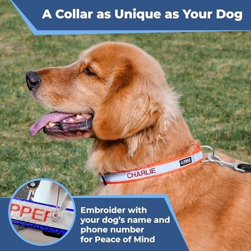 GoTags Reflective Dog Collar Personalized, Custom Embroidered Pet Name and Number, Premium Nylon Colorful for Girl and Boy Dogs, Small Medium and Large Adjustable Sizing