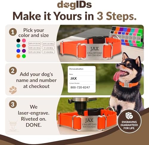 dogIDs Personalized Quick Release Waterprooft ScruffTag Dog Collar - Built-in Custom Laser Engraved Nameplate, Odor Resistant - Orange, 5/8 in x 9-11.5 in (Fits Neck Sizes: 9-11.5 in)