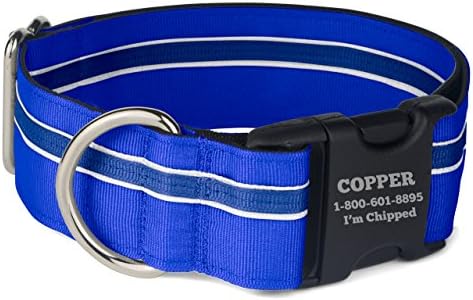 If It Barks Personalized 1.5" Striped Dog Collar - Engraved Name - Custom Size, Blueberry