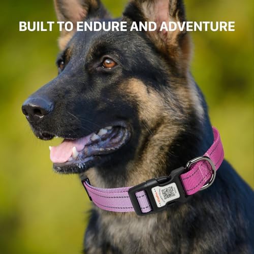 Personalized Dog Collar with QR Code Dog Tag, Blue&Rose Red M