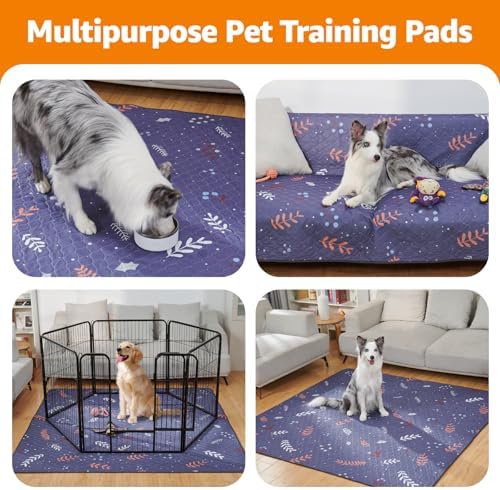 LOOBANI Washable Pee Pads for Dogs: 2 Pack Reusable Puppy Training Pads 31" x 36", Waterproof Dog Pee Pads Non-Slip, Absorbent Dog Whelping Pad for Playpen, Crate, Floor, Sofa, Purple