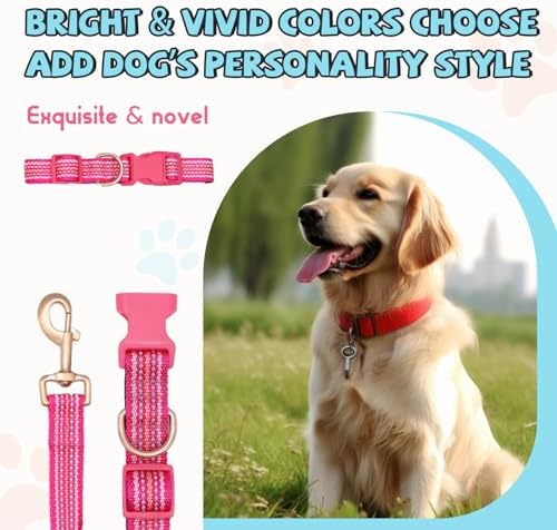Reflective Dog Collar and Leash Set, Nylon Dog Leash with Heavy-Duty Steel D-Ring, Adjustable with Quick Release Buckle for Small Dogs,Hot Pink S