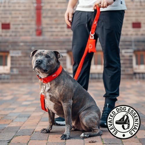 Dog Friendly Co. Poop Bag Holder for Leash, Dog Waste Bag (Red)