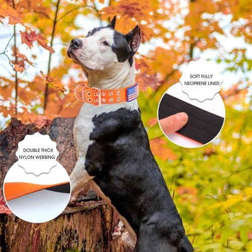 Heavy Duty Dog Collar for Medium Large Dogs, Orange, Large