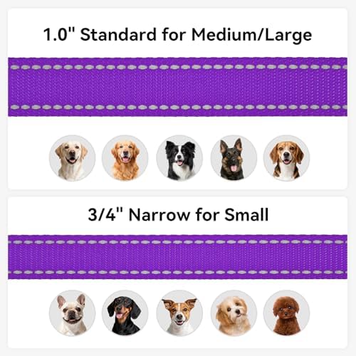 Joytale Reflective Dog Leash for Medium & Large Dogs, 6 FT x 1", Purple