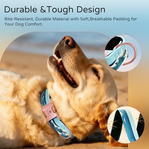 Reflective Dog Collar for Small Dogs, Artistic Design Wave-S