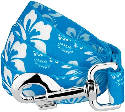 Country Brook Petz - Blue Hawaiian Everyday Dog Leash - Summer Breeze Collection Featuring Sunny Designs (4 Foot, 1 Inch Wide)