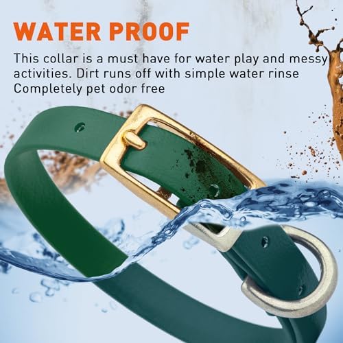 Viper Biothane Heavy Duty Waterproof Dog Collar Strong Coated Nylon Webbing w/Solid Brass Hardware Odor-Proof Easy to Clean High Performance Fits Small Medium or Large Dogs, Hunter Green