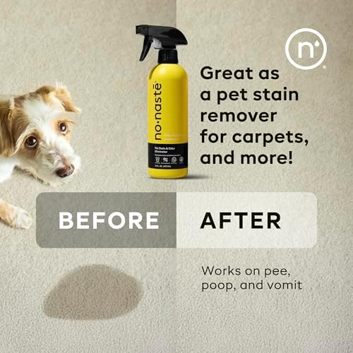 Nonaste Oatmeal Dog Shampoo & Pet Stain Odor Eliminator Set, 16 oz, Pk 2