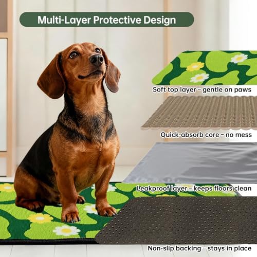 Qeils Reusable Puppy Pads for Small Dogs, Washable Pee Pads with Non-Slip , Absorbent Leakproof Mat for Crates, Playpens, Pet Beds & Whelping, Indoor Potty Training Grass Green, 24"x48", 2 Pack