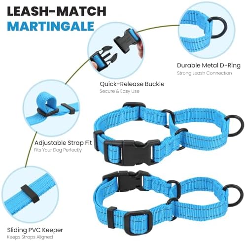 VIVAGLORY Double Handle Dog Leash Twingrip, 5ft x 1in, M, Blue