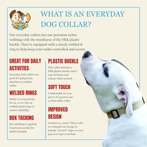 Country Brook Petz - Everyday Nylon Dog Collar for Large, Medium, and Small Dogs and Puppies - for Everyday Use in 30+ Colors (Medium, 3/4 Inch Wide, Copper Gold)