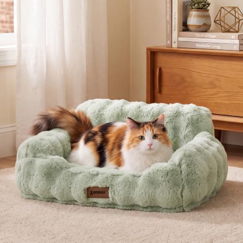 ZOMISIA Orthopedic Cat Couch Bed for Indoor Cats, Removable Washable Cover