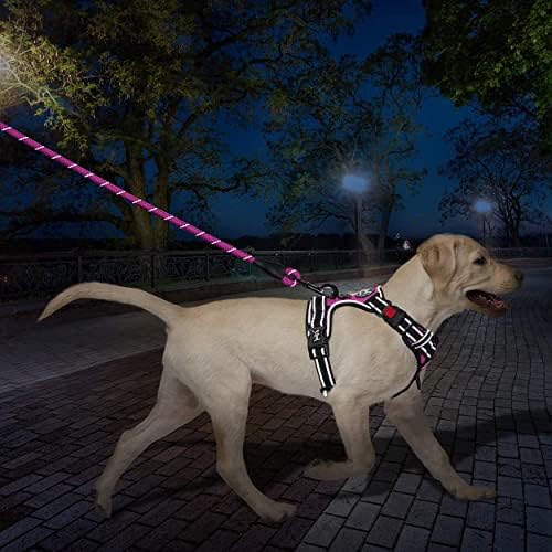 PoyPet Dog Harness and Leash Set, No Pull Vest with Front Clip and Handle