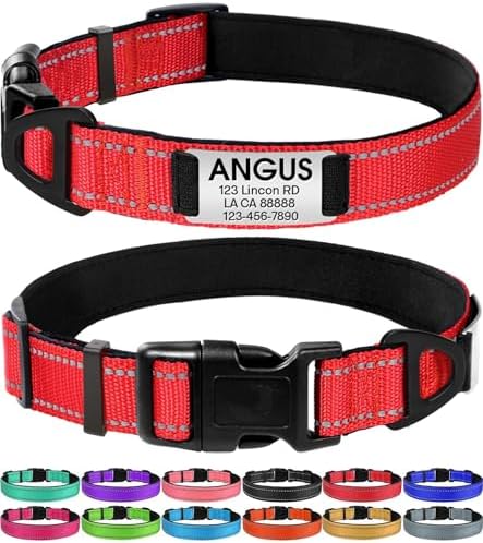 Joytale Personalized Dog Collar with Name Plate Built-in for Medium Dogs