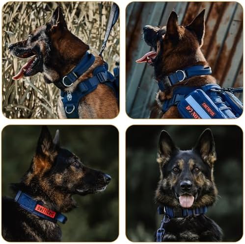 OneTigris Tough Tactical Dog Collar for Small Dogs with Handle Blue S
