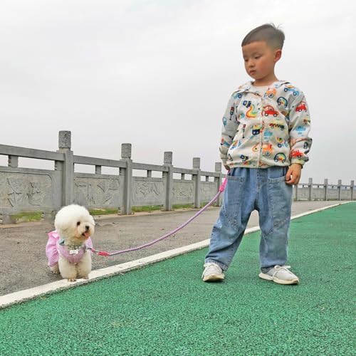 Reflective Dog Leash 2/3/4/6/10ft Braided 1/2" Strong Nylon Rope