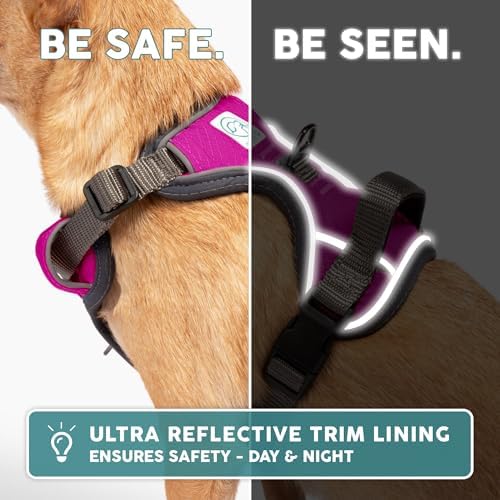 Embark No Pull Dog Harness, Reflective Adjustable Training Vest, No Choke