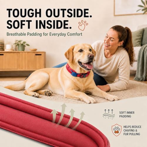 Tactical Dog Collar with Handle, Heavy Duty Nylon for Large Dogs