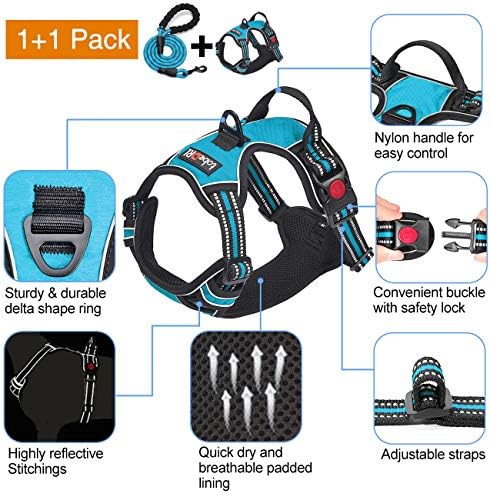 tobeDRI No Pull Dog Harness Adjustable Reflective Oxford Easy Control Medium Large Dog Harness with A Free Heavy Duty 5ft Dog Leash, Blue, M