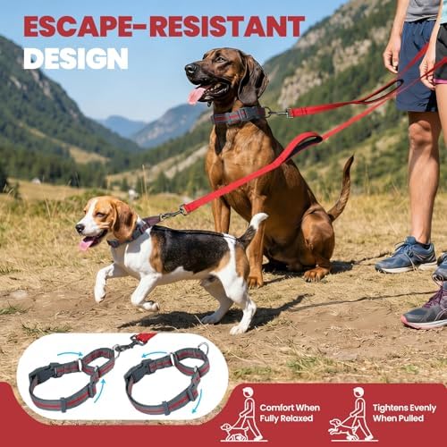 VIVAGLORY Double Handle Dog Leash Twingrip, 5ft x 1in, S, Red Grey