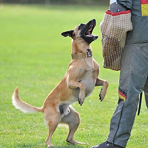 TSPRO Heavy Duty Thick Dog Collar with Metal Buckle for Medium Dogs