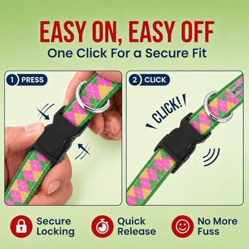 THE WORTHY DOG Summer Print, Adjustable Dog Collar, Large Dogs, Argyle