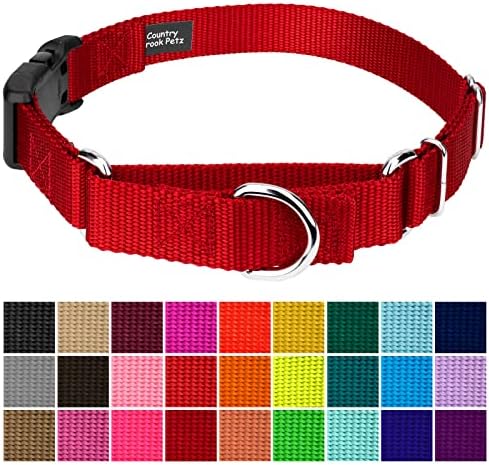 Martingale Dog Collar - Heavy Duty Nylon Adjustable Martingale Dog Collar with Plastic Buckle for Small Medium Large Breeds - 30+ Colors (1 Inch, Extra Large, Red)