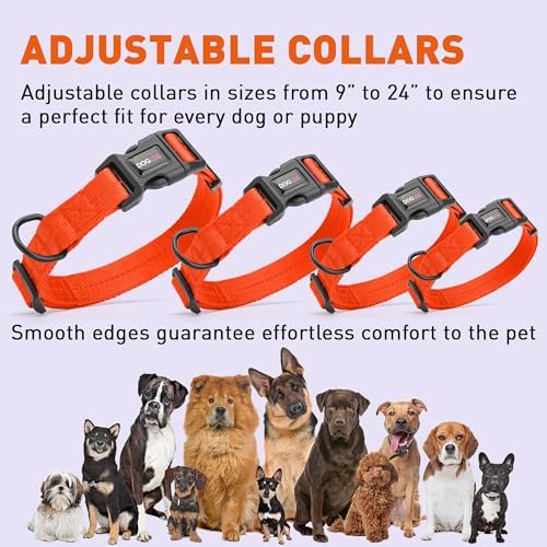 Dogline Orange Nylon Collar (W: 3/4" L: 13"-20")