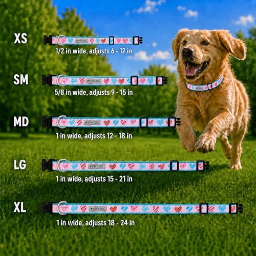 THE WORTHY DOG Summer Print, Adjustable Dog Collar,Medium Dogs,Love is Love