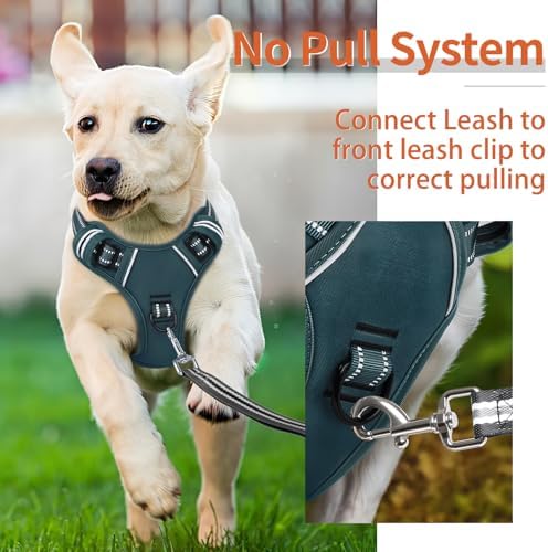 HEELE Dog Harness for Large Dogs No Pull Dog Vest Harness for Large Dog with Soft Padded Handle Reflective for Outdoor Training, Blackish Green, XL