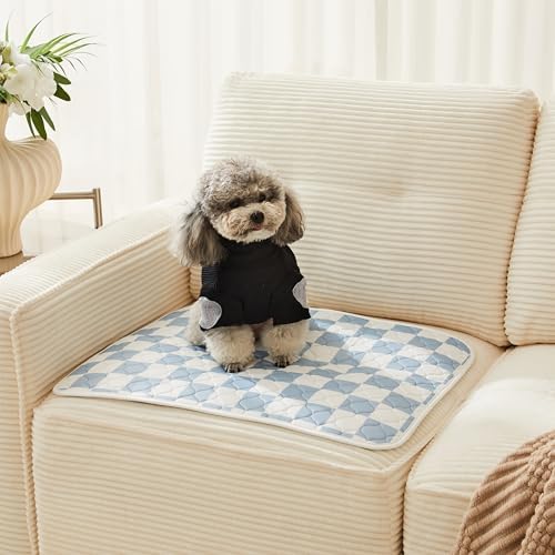 2 Pack Blue Checkered Washable Pee Pads for Dogs, Checkered Reusable Dog Pee Pads, for Puppy Playpen, Crate, Whelping Box, Potty Training, Cute Aesthetic Absorbency, Leak-Proof Non-Slip