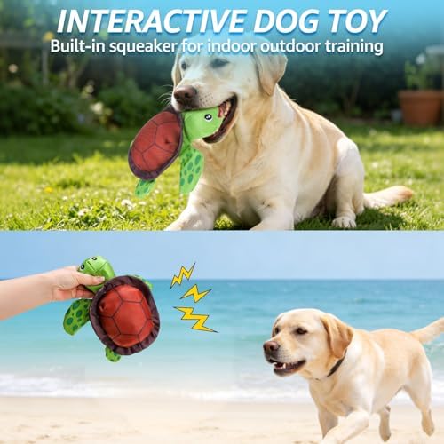 SCENEREAL Floating Dog Pool Toys for Water Fetch, 2 Pack Ducks & Turtles Squeaky Dog Toys for Training, Interactive Summer Outdoor, Cute Pet Chew Toys for Large Medium Small Dogs