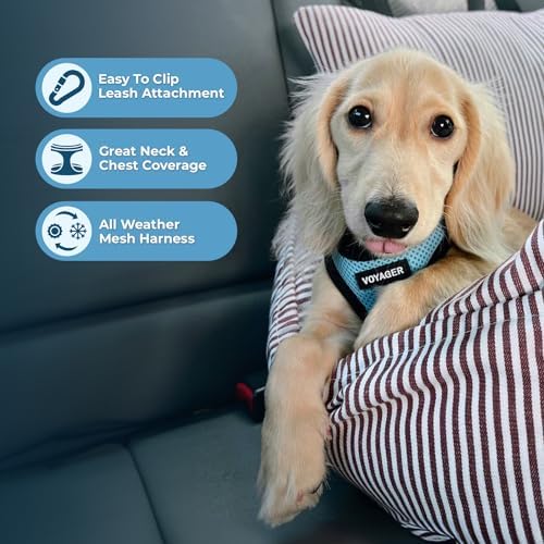 Voyager Step-in Air Dog Vest Harness - Baby Blue/Black Trim, Medium