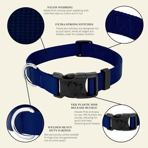 Country Brook Petz - Everyday Nylon Dog Collar for Large, Medium, and Small Dogs and Puppies - for Everyday Use in 30+ Colors (Extra Large, 1 Inch Wide, Royal Blue)
