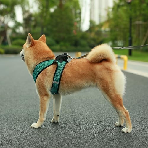 Voyager Step-in Air Dog Vest Harness - Turquoise 2-Tone, Large