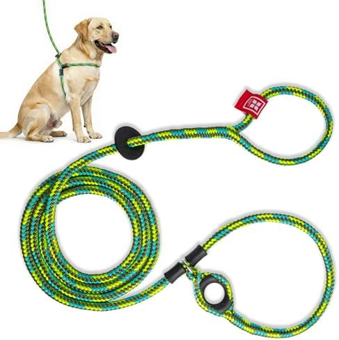 Harness Lead No Pull Dog Harness and Leash Set, Anti Pull Dog Harness, One-Piece Cushioned Rope Safely Prevents Escaping and Pulling (Medium/Large, Rainforest)