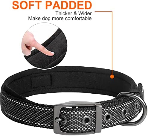 Fida Padded Dog Collar for Small Dogs with Metal Belt Buckle, Black