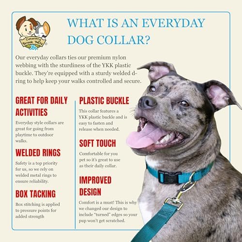 Country Brook Petz - Everyday Nylon Dog Collar for Large, Medium, and Small Dogs and Puppies - for Everyday Use in 30+ Colors (3XS, 3/8 Inch Wide, Teal)
