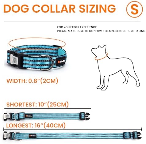Personalized Dog Collar with QR Code Dog Tag, Light Blue S