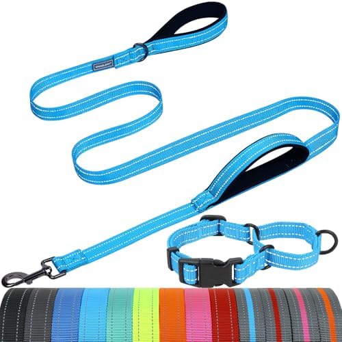 VIVAGLORY Double Handle Dog Leash Twingrip, 5ft x 1in, S, Blue