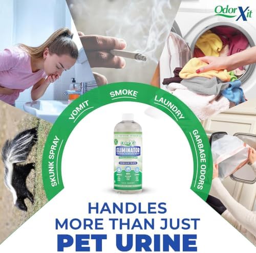 Concentrated Pet Urine Odor Eliminator, Ideal for Cat, Dog Poo and Urine Smell, Versatile & Natural Odor Neutralizer for Home and Outdoor Use, Deodorizer & Absorber, Concentrate, 16oz