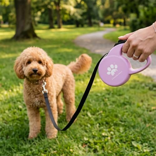 Retractable Dog Leash (Small), 10ft Heavy Duty Nylon Tape for Dogs up to 33 lbs, One-Hand Brake & Lock, Tangle-Free, Compact Lightweight Design, Pink S GC-DAN