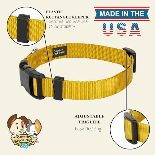 Country Brook Petz - Everyday Nylon Dog Collar for Large, Medium, and Small Dogs and Puppies - for Everyday Use in 30+ Colors (3XS, 3/8 Inch Wide, Gold)
